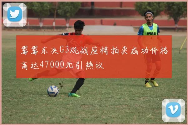 霉霉东决G3观战座椅拍卖成功价格高达47000元引热议