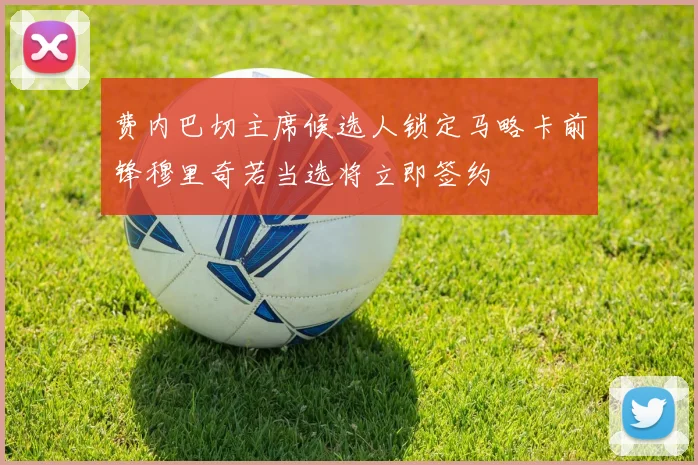费内巴切主席候选人锁定马略卡前锋穆里奇若当选将立即签约